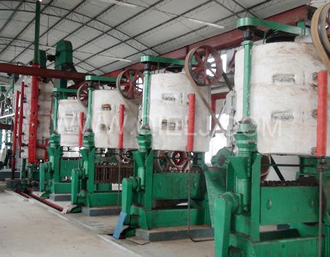 10T/D-800T/D高含油料预榨成套设备(图2)
